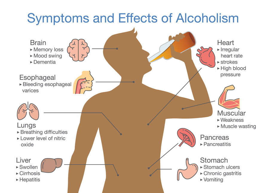 effect of alcohol on the body